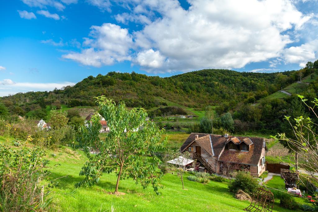 Pensjonat Country House "Stricev Grunt" Stara Kapela Pokój zdjęcie