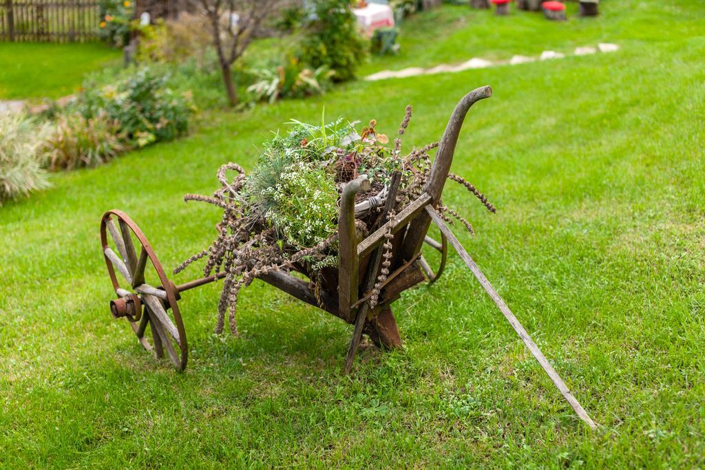 Pensjonat Country House "Stricev Grunt" Stara Kapela Pokój zdjęcie